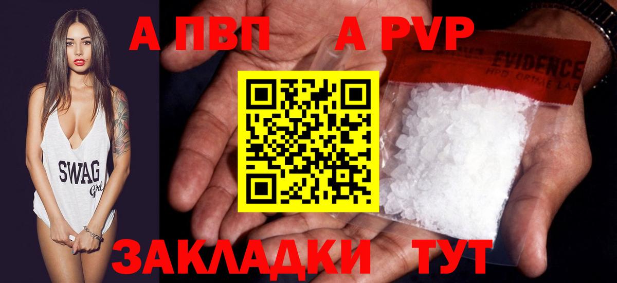 Альфа ПВП СК КРИС Грозный